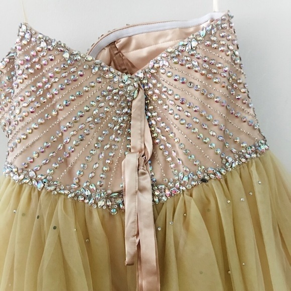 LT Champagne Mini Dress - Picture 5 of 12